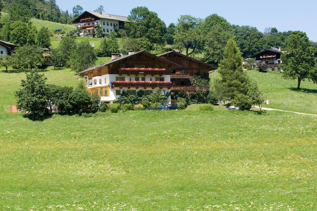 Hotel Ladestatthof à Neustift im Stubaital Extérieur photo