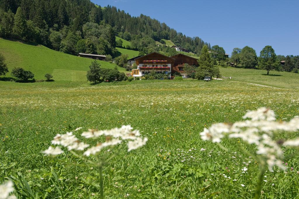 Hotel Ladestatthof à Neustift im Stubaital Extérieur photo